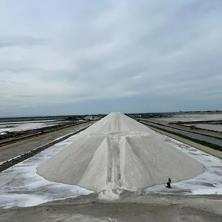 6p Résidence Avec Piscine à Aigues-Mortes